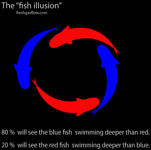 red_blue_fish_illusion